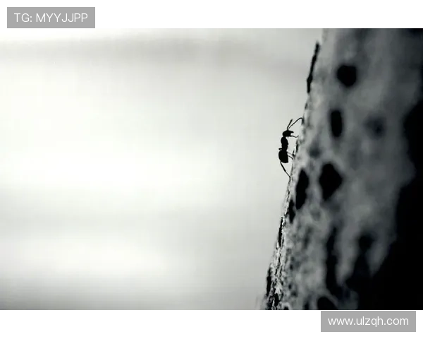 春梦记：一场抵过万语千言的温柔呓语