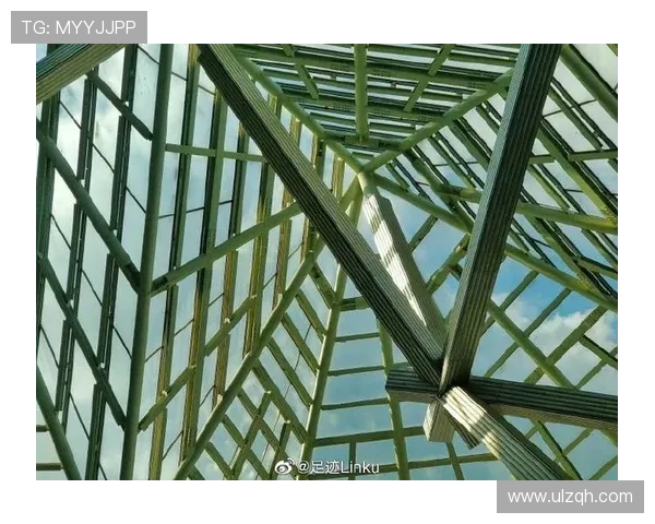 深圳足迹：创新之城的脉搏与梦想的印记