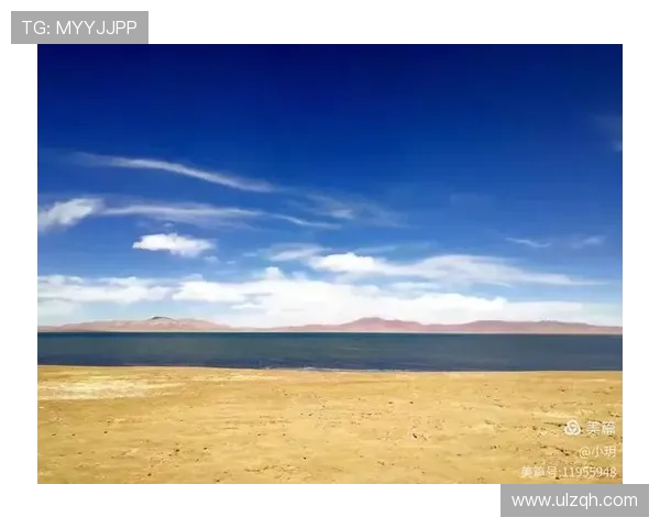 构筑心之所向：我们共同的“更好的世界”